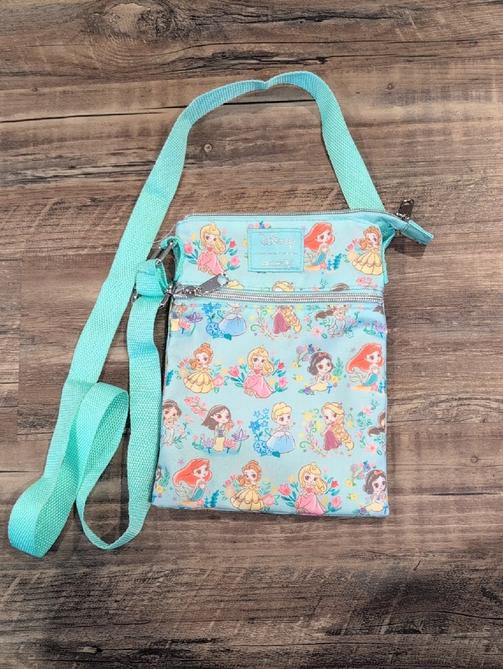 Disney Princess Passport Loungefly Bag